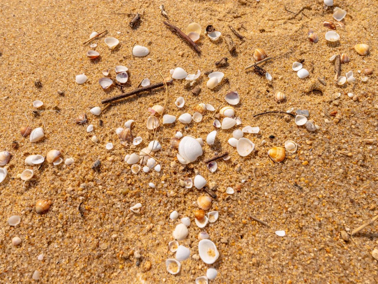 Pousada Pe Na Areia Caraguatatuba Zewnętrze zdjęcie